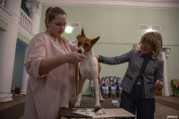 Выставка собак в Туле, Фото: 42