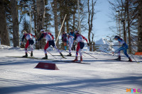 Состязания лыжников в Сочи., Фото: 67