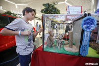 Выставка кошек в "Макси", Фото: 54