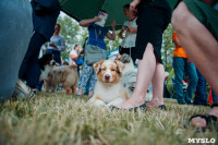 Всероссийская выставка собак в Туле, Фото: 101
