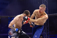 Битва за Тулу-2026, Фото: 157