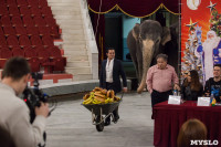 Тульский цирк анонсировал Шоу слонов, Фото: 24
