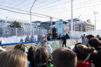 Камила Валиева дала мастер-класс для детей на Губернском катке в Туле, Фото: 10