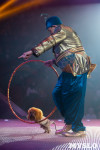 Шоу фонтанов «13 месяцев»: успей увидеть уникальную программу в Тульском цирке, Фото: 29