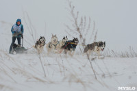 Гонки на собачьих упряжках «Большой тур» на Куликовом поле, Фото: 45