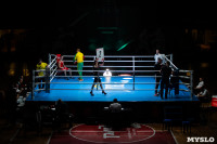 Финал "Гран-При Тулы" по боксу, Фото: 45