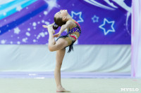 Тула провела крупный турнир по художественной гимнастике, Фото: 55