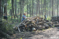 В Туле проводят работы по благоустройству зон отдыха. 26 июля 2014 год, Фото: 9