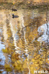 Золотая осень в Ясной Поляне, Фото: 16