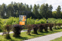 Кимовск-Донской-Новомосковск-Узловая, Фото: 24