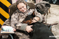 Сиба-ину, шпицы и алабаи: в Туле состоялась выставка собак, Фото: 65