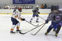 Команда ЕВРАЗ обыграла соперников в отборочном матче Тульской любительской хоккейной Лиги, Фото: 37