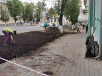 Для благоустройства газонов на пр.Ленина завозят чернозем, Фото: 10