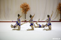 Соревнования по художественной гимнастике "Осенний вальс", Фото: 141