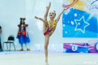 Тула провела крупный турнир по художественной гимнастике, Фото: 90