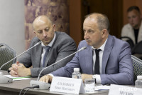 Проекты благоустройства парков Щекино, Киреевска, Ясногорска и Новомосковска, Фото 68
