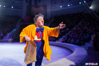 Туляков приглашают на новогоднее представление «Ёлка в цирке», Фото: 49