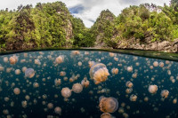 , Фото: 1