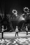 "Чудеса под Новый год" в Тульском цирке, Фото: 14