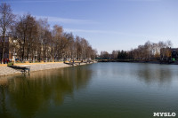 В Узловой благоустраивают Свиридовский пруд, Фото: 23