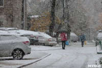 Первый снег в Туле, Фото: 14