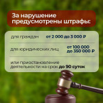 Складирование растительных отходов на контейнерных площадках, Фото: 4