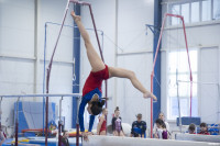 Всероссийские соревнования по спортивной гимнастике, Фото: 26