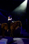 Успейте посмотреть шоу «Новогодние приключения домовенка Кузи» в Тульском цирке, Фото: 111