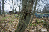 Храм Спаса Нерукотворного Образа, Фото: 11