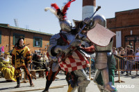 В центре Тулы рыцари устроили сражение: фоторепортаж, Фото: 124