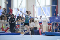 Всероссийские соревнования по спортивной гимнастике, Фото: 68