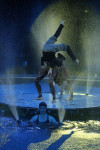 Aqua Show в Тульском цирке, Фото: 13
