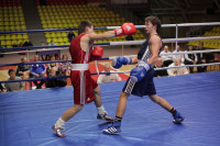 В Туле завершился всероссийский турнир по боксу, Фото: 3
