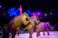 Цирк Инди Ра, Фото: 91