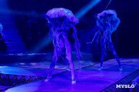 Цирковое шоу Жар птица, Фото: 44