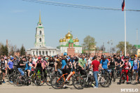 В семейном велопараде приняли участие сотни туляков , Фото: 32