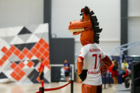 ТЗМС - Алюминика, Фото: 44