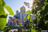 Яблони у кремля, Фото: 8