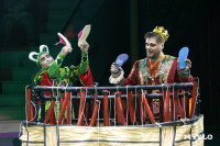 Цирковое шоу Жар птица, Фото: 47