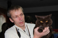 В Туле прошла международная выставка кошек, Фото: 47