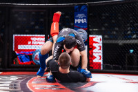 В «Тула-Арене» состоялись областные соревнования по ММА, Фото: 81