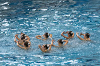 первенство цфо по синхронному плаванию, Фото: 155