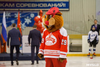 Кубок главы администрации МО г. Новомосковск по хоккею, Фото: 55