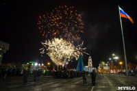 Фейерверк в честь 75-летия обороны Тулы, Фото: 8