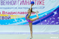 Тула провела крупный турнир по художественной гимнастике, Фото: 153