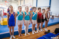 Мужская спортивная гимнастика в Туле, Фото: 34