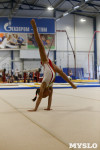 Спортивная гимнастика в Туле 3.12, Фото: 139