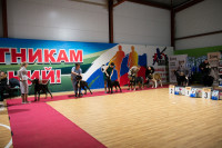 В Туле прошла выставка собак всех пород, Фото: 9