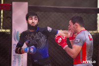 Турнир по ММА памяти Алексея Калинина собрал лучших бойцов страны: фоторепортаж, Фото: 152