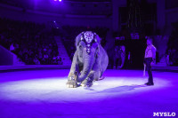 Шоу слонов в Тульском цирке, Фото: 66